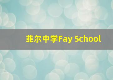 菲尔中学Fay School